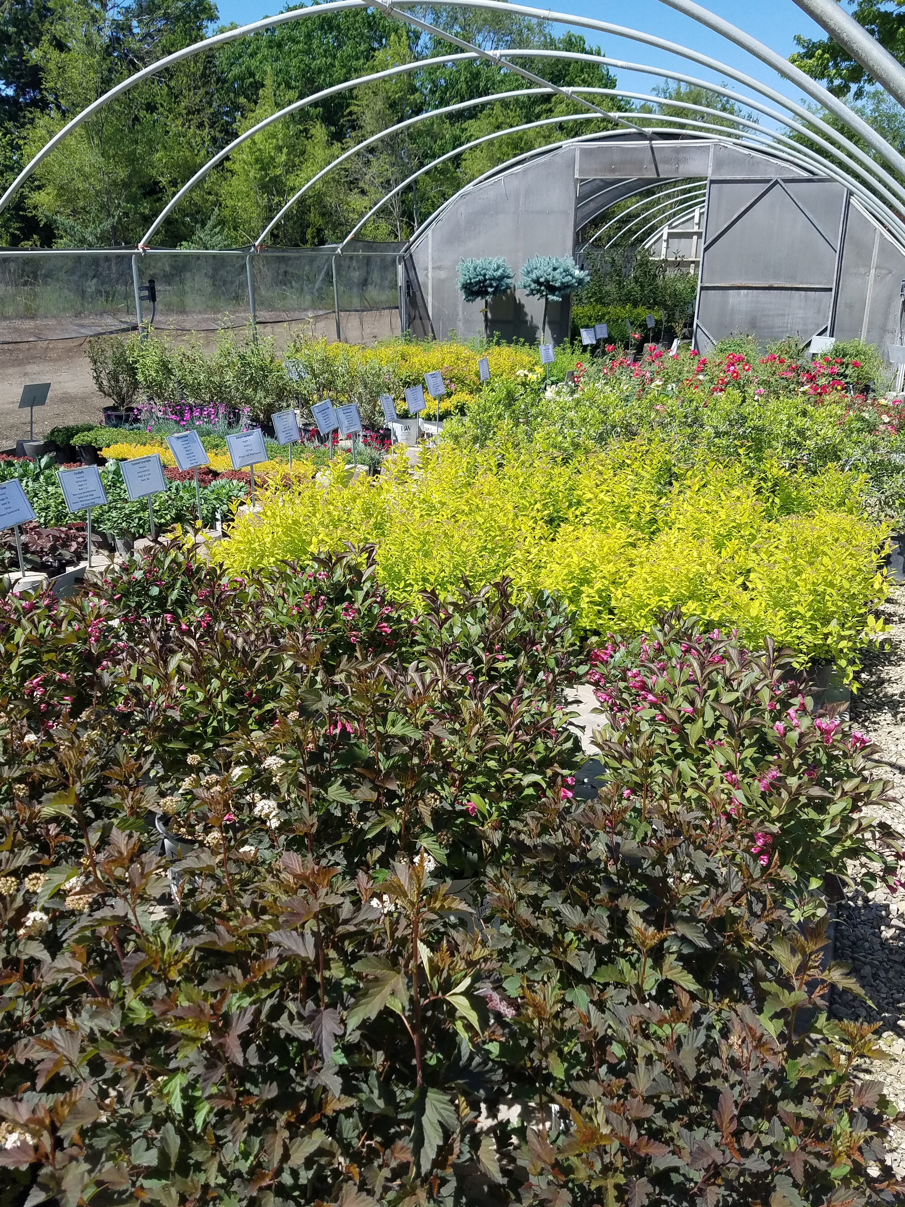 Summer 2017 542 Republican Valley Landscape